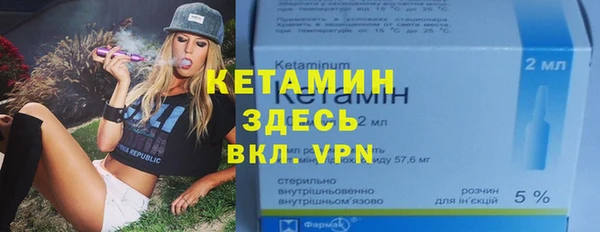 гидра Богородицк