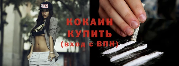 гидра Богородицк