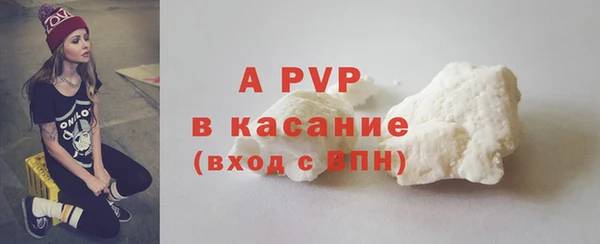 гидра Богородицк
