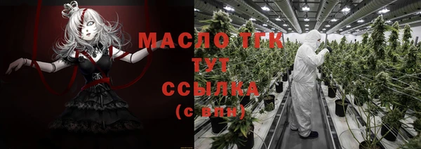 гидра Богородицк