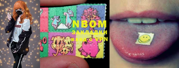 ECSTASY Белокуриха